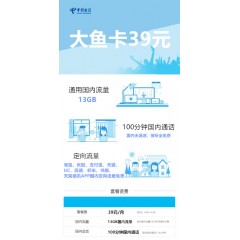 中國電信  大魚卡39元套餐【下訂單，中國郵政快遞包郵到家?！? width=