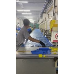 榮威兒童玩具廠 招聘，男50女48歲以內包進廠