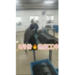 浙江江山電熱棒廠  長(zhǎng)白班～兩班倒   男18-55，女18-50周歲