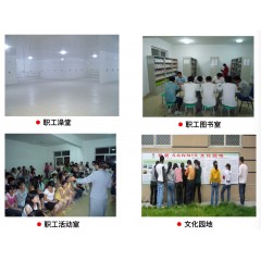 山東山孚日水有限公司招聘信息 男女不限，18-45周歲，