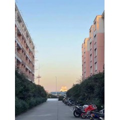 南京中電熊貓晶體  招聘：男18-35周歲，女18-40周歲。